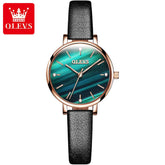 OLEVS Polaris